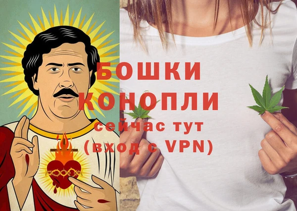 стафф Михайлов