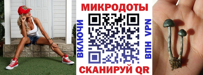 Галлюциногенные грибы Cubensis Туапсе